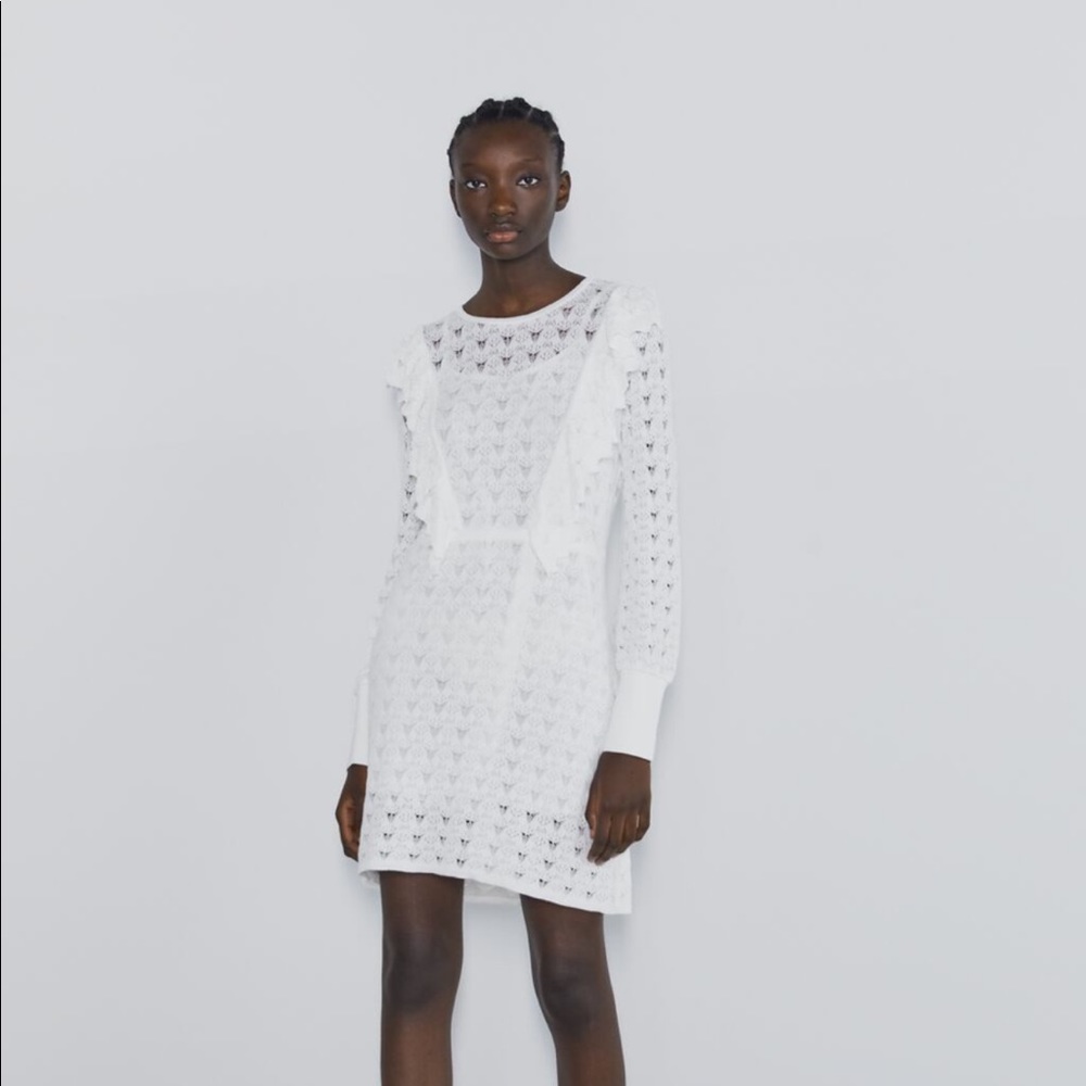 Zara Pointelle Knit Dress